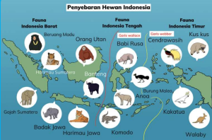 Peta Penyebaran Fauna di Indonesia